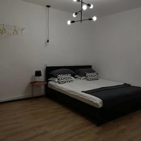 Nordic Villa Braşov Esterno foto
